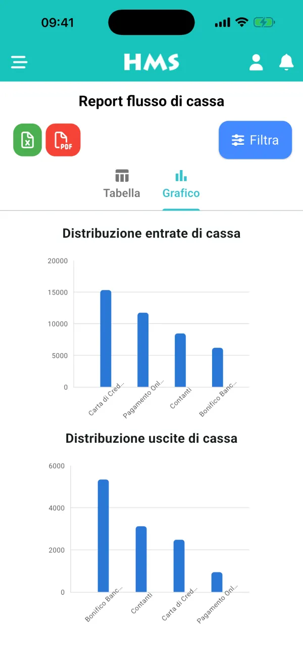 App HMS Flow su iPhone — Flusso di cassa e grafici