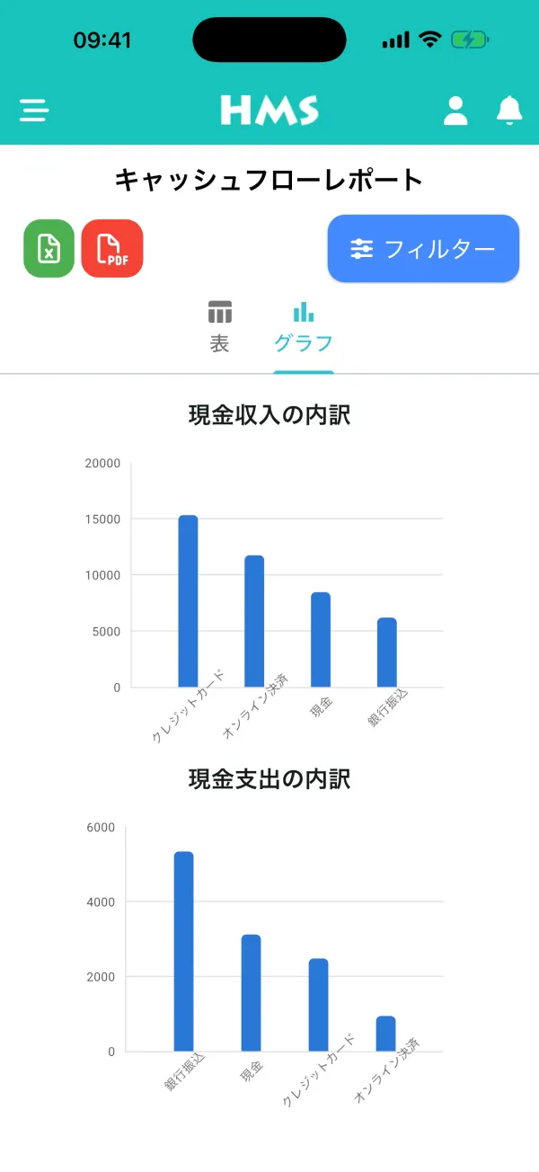 iPhone の HMS Flow アプリ — キャッシュフローとグラフ