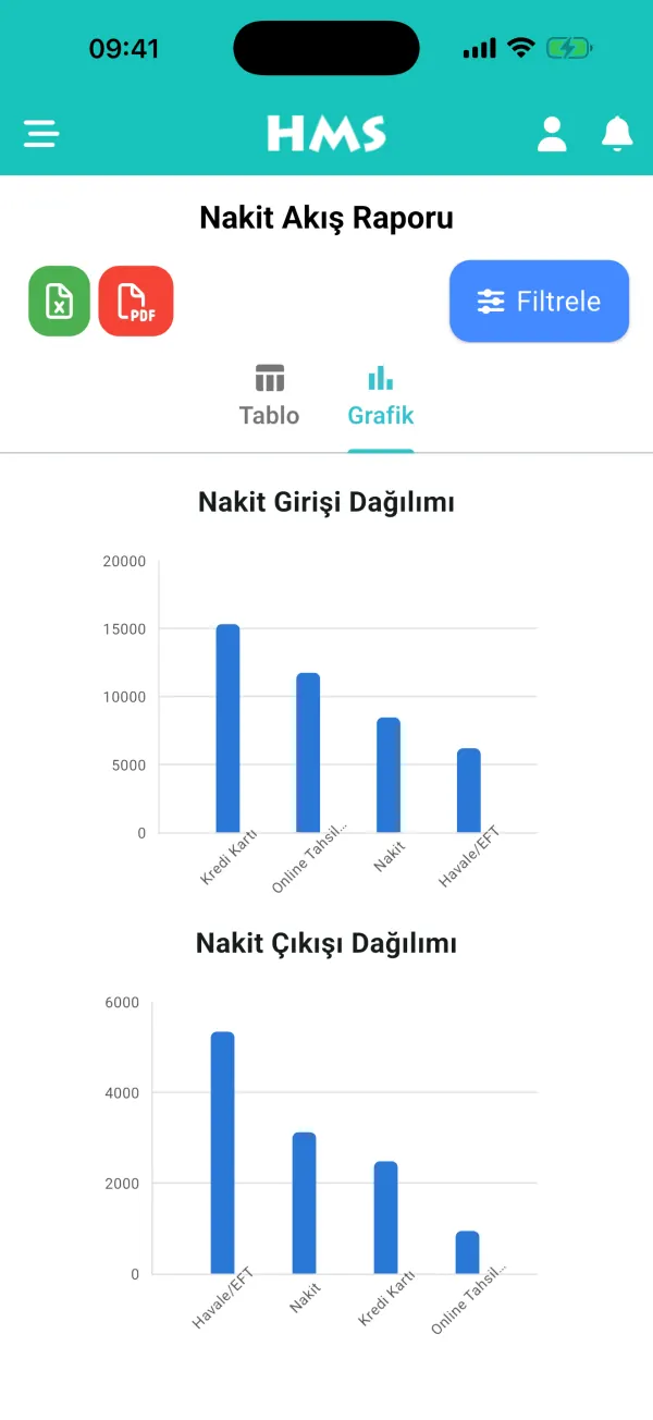 iPhone üzerinde HMS Flow uygulaması — Nakit Akışı ve Grafikler